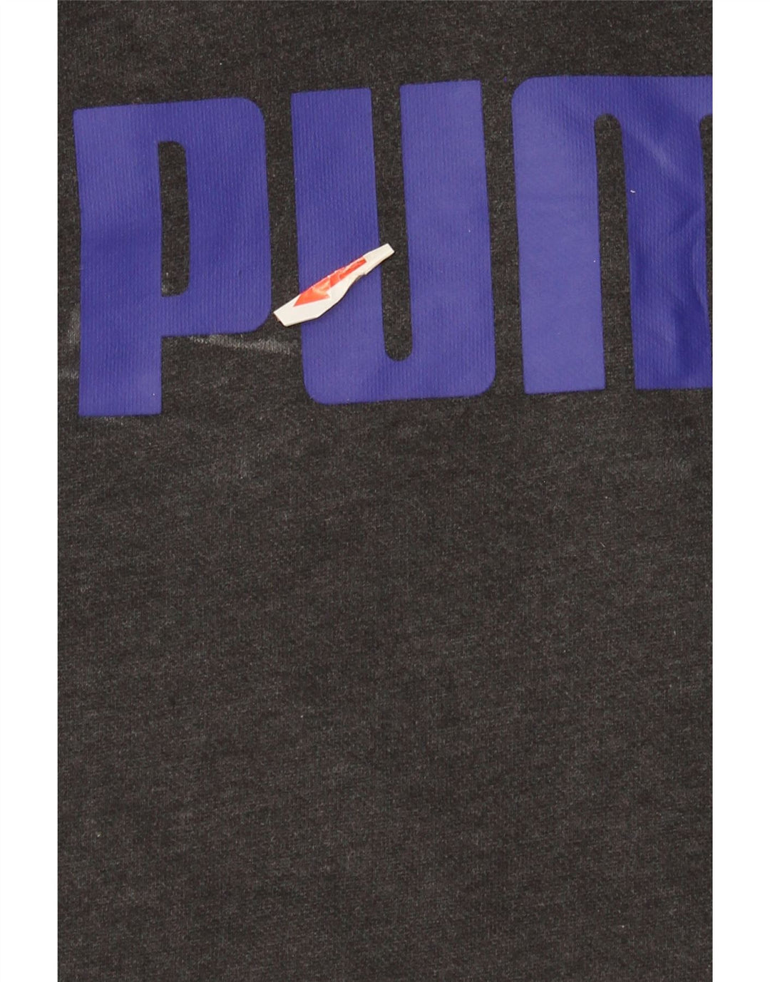 Męski sweter z kapturem Puma z grafiką, duży, szary