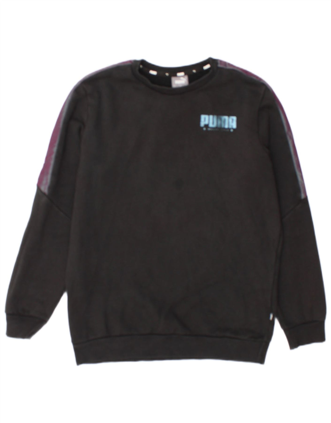Męska bluza Puma z grafiką, mała, czarna, bawełniana z blokami kolorów