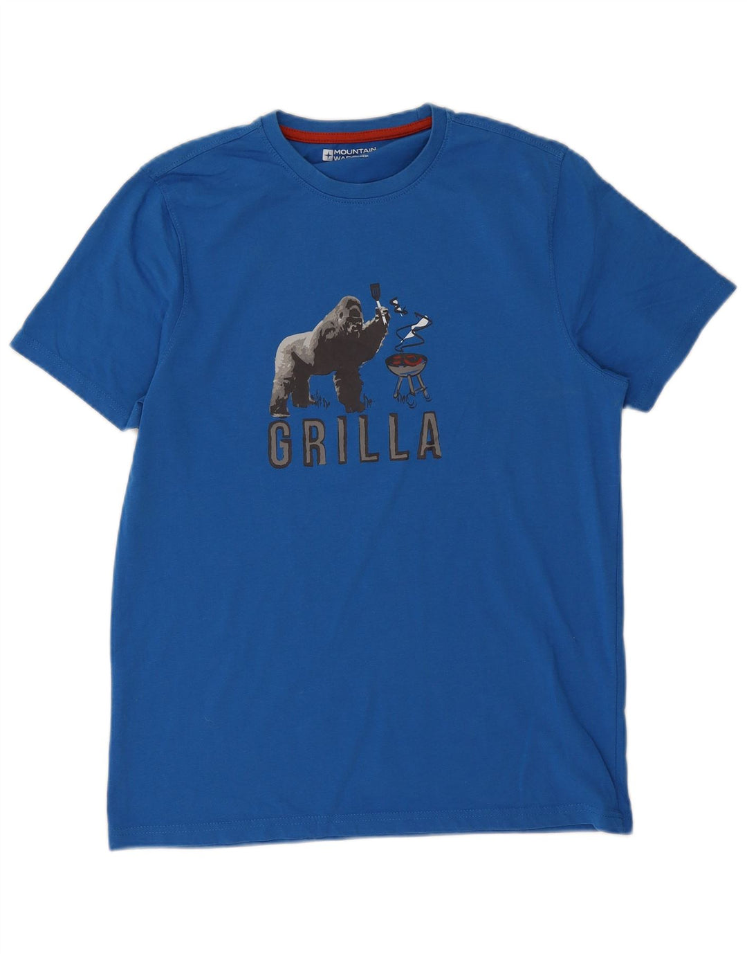 Męski T-shirt z grafiką Mountain Warehouse, bawełniany, średni niebieski