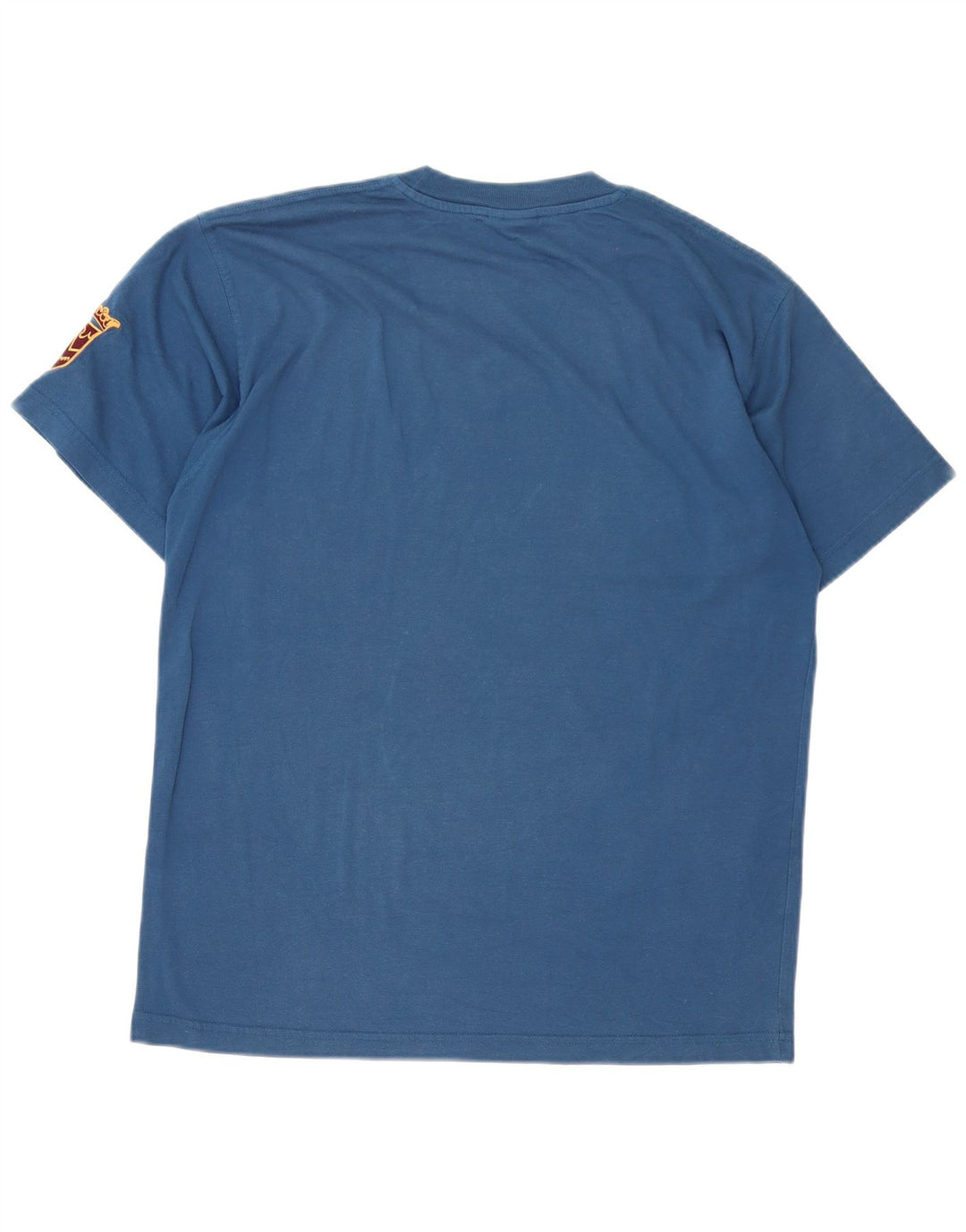 Męski T-shirt z grafiką Puma, średni niebieski