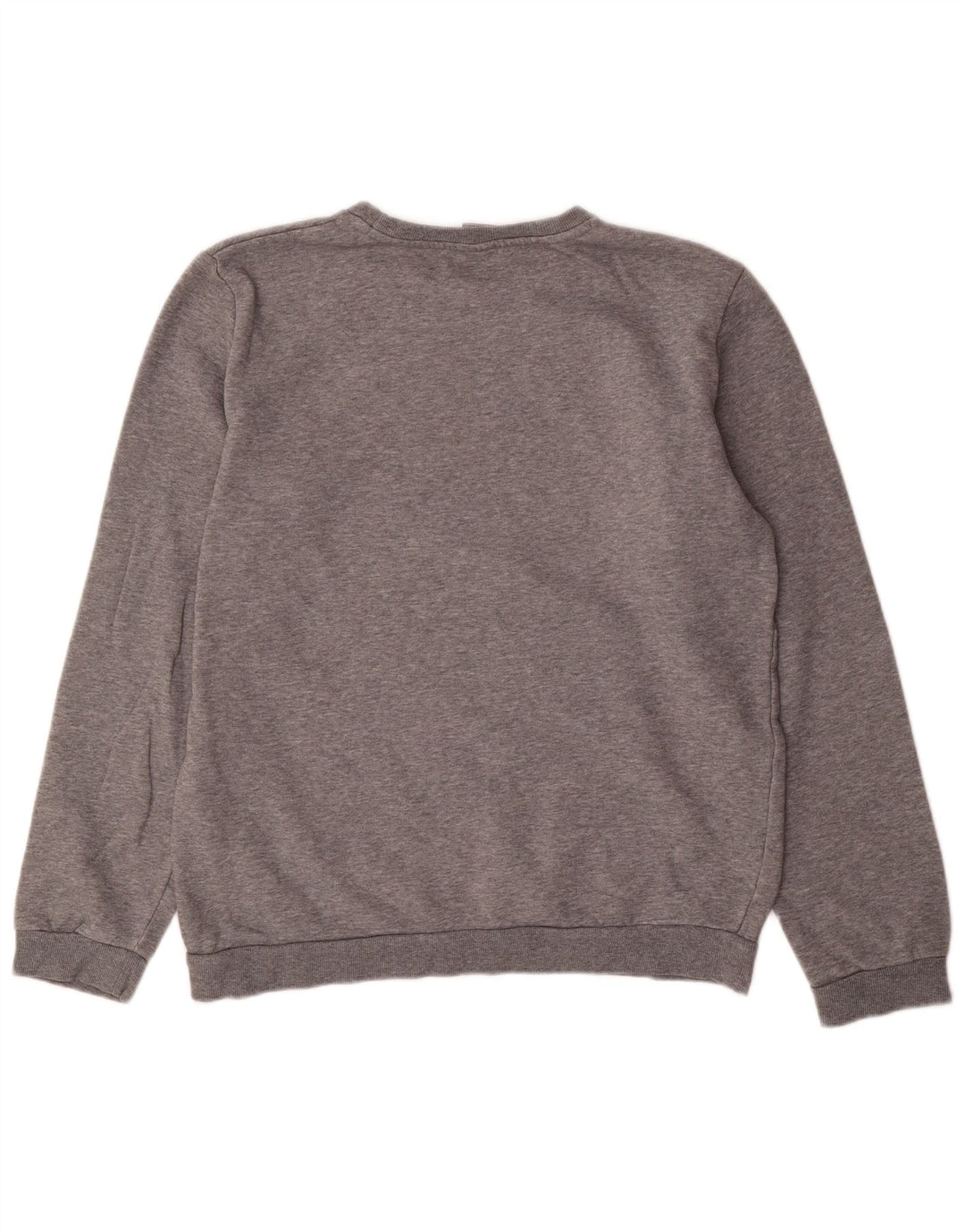 Chłopięcy sweter z grafiką PUMA, 15-16 lat, szara bawełna