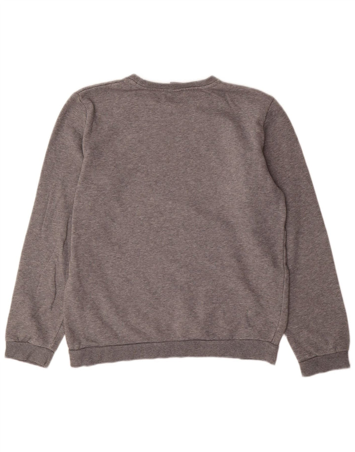 Chłopięcy sweter z grafiką PUMA, 15-16 lat, szara bawełna