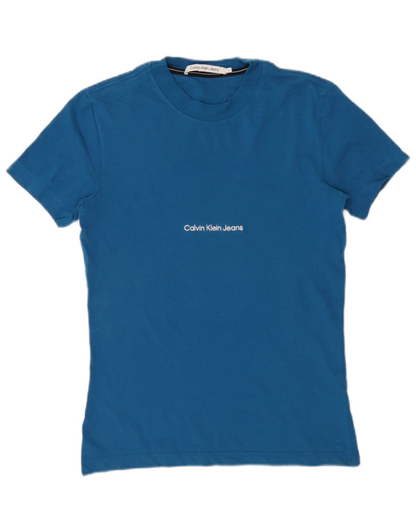 Męski T-shirt z grafiką Calvin Klein Jeans, mały, niebieski