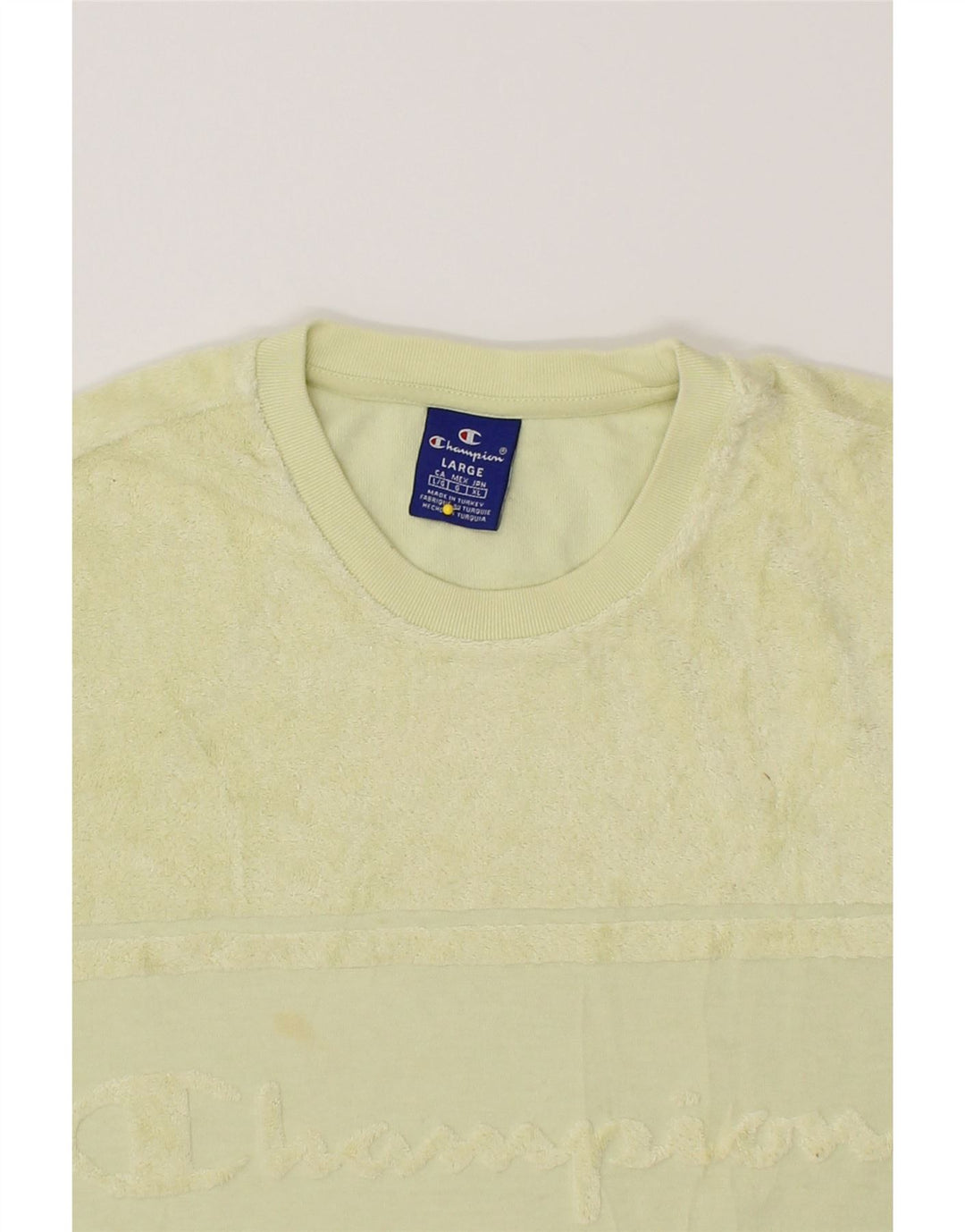 CHAMPION Mens Graphic T-Shirt Top Large Green Vintage Champion and Second-Hand Champion from Messina Hembry 