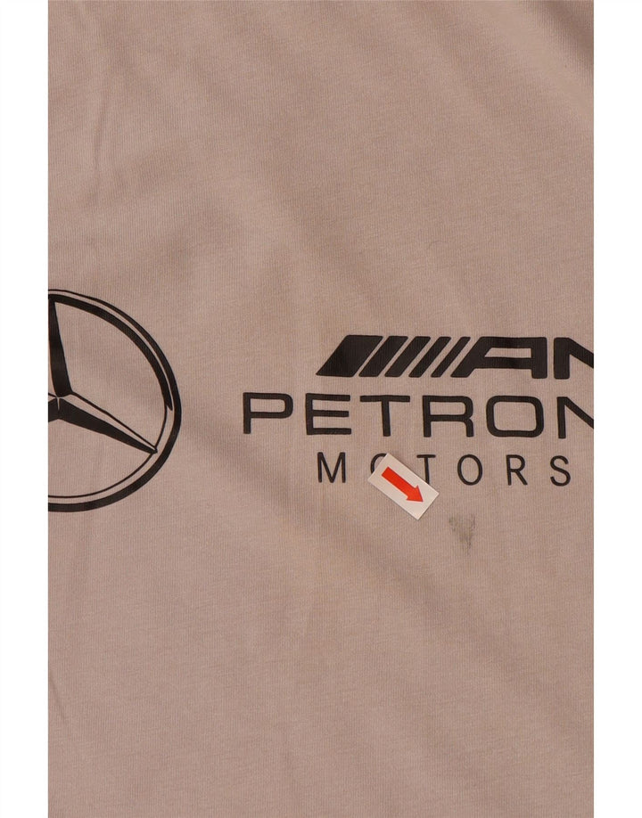 Męski T-shirt z grafiką PUMA, mały, szary, bawełniany