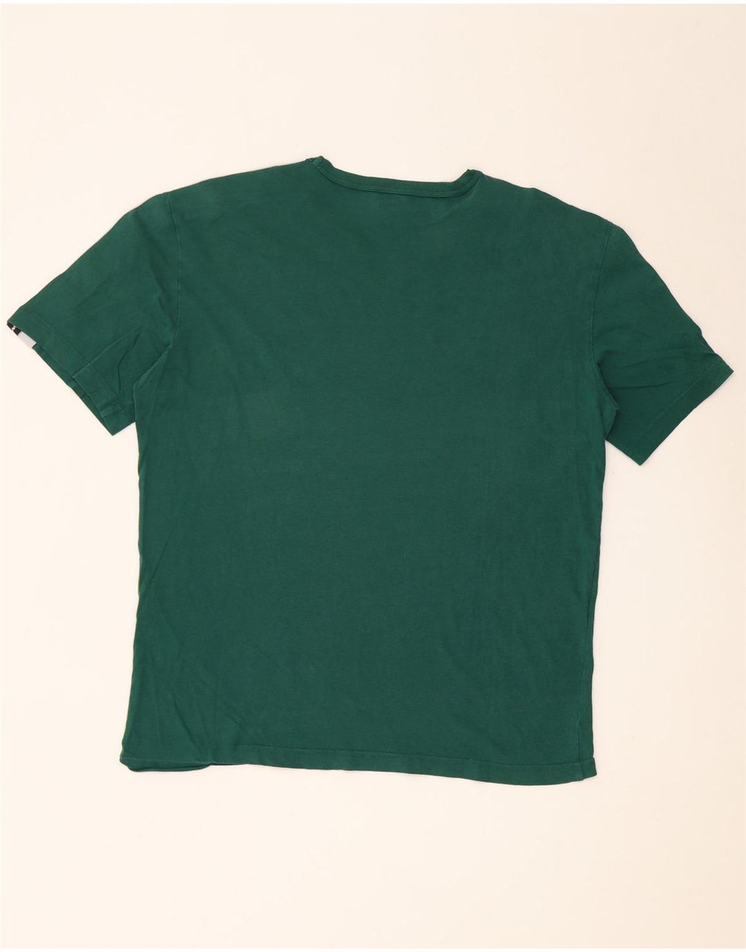 Męski T-shirt Champion z grafiką, duży, zielony, z blokami kolorów