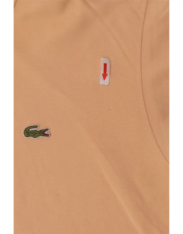 Męska koszulka polo Lacoste, rozmiar 5, duża, różowa, bawełniana