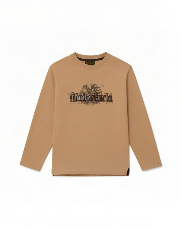 Chłopięcy top Timberland z graficznym długim rękawem, 11-12 lat, beżowy