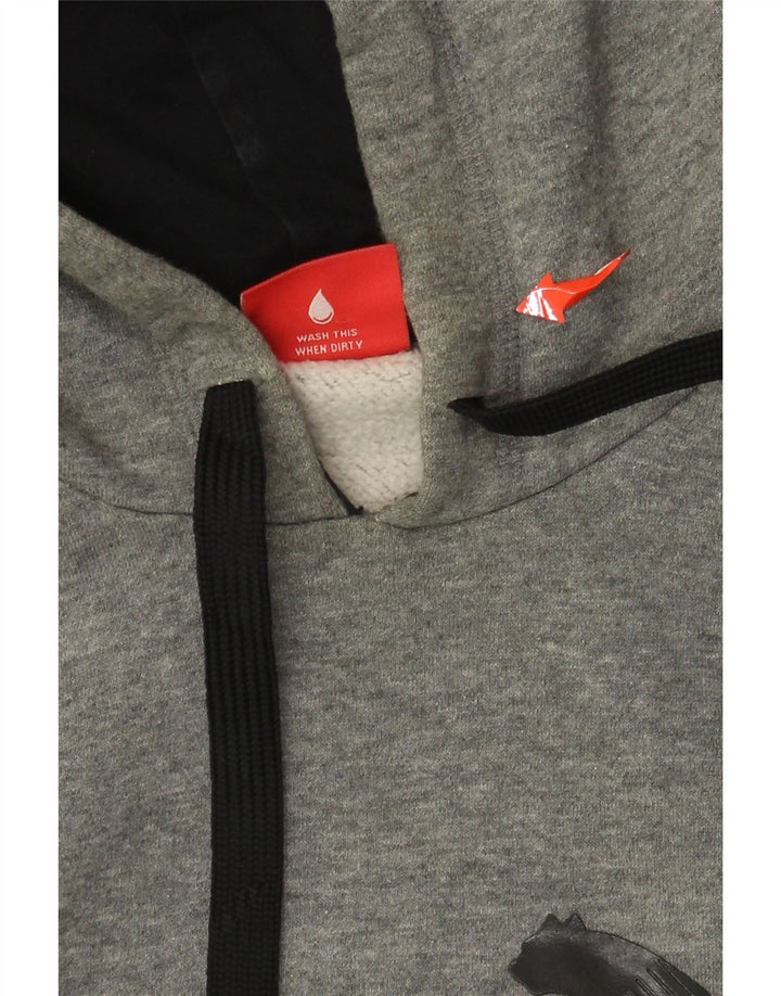 Męski sweter z kapturem i grafiką PUMA, duży, szary, bawełniany