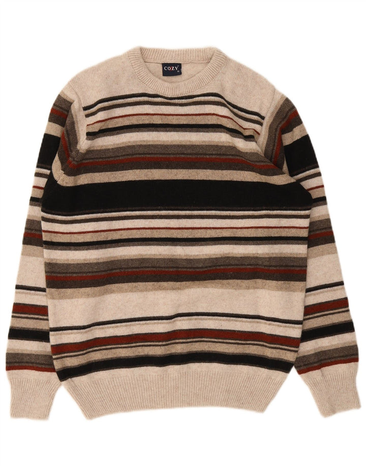 Męski sweter z wycięciem pod szyją w stylu vintage, w średnie, wielokolorowe paski