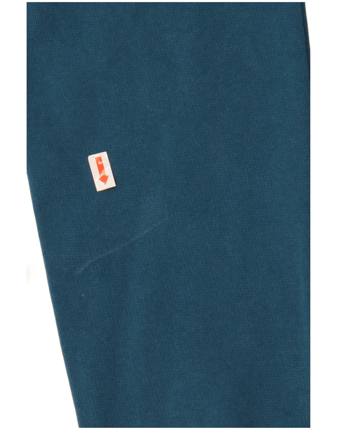 CALVIN KLEIN JEANS Męski sweter z grafiką, duży, niebieski, bawełniany