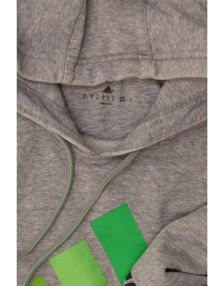 Męska bluza z kapturem Adidas Graphic, średnio szara