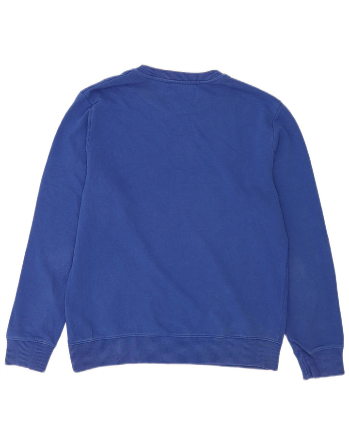 Męska bluza z grafiką Calvin Klein Jeans, średnioniebieska, bawełniana