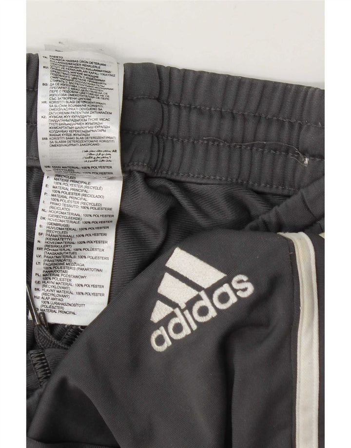 Adidas Męskie spodnie dresowe Joggery Średni szary poliester
