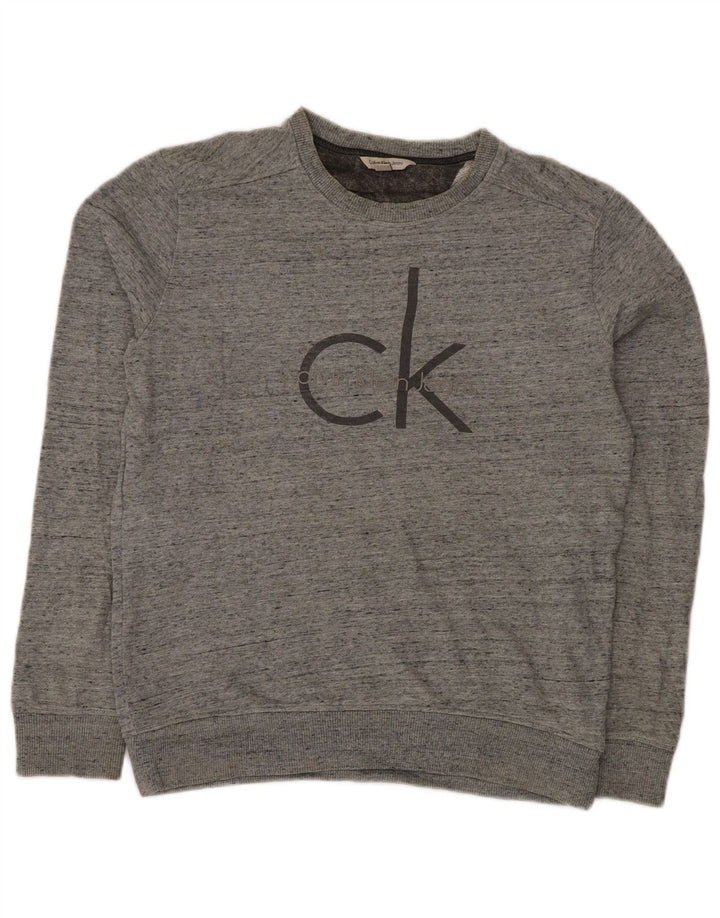 Męski sweter z grafiką CALVIN KLEIN JEANS, mały, szary nakrapiany
