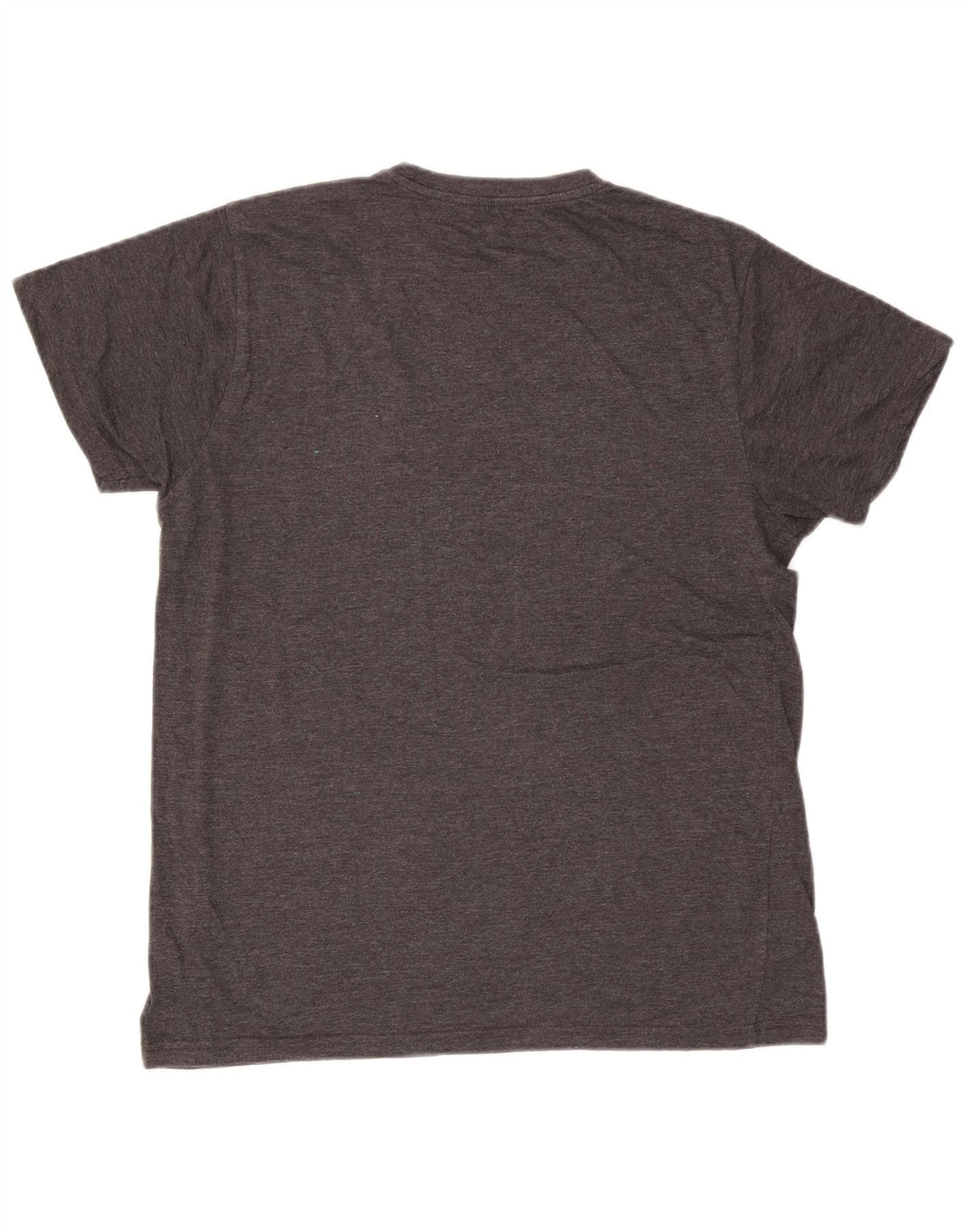 Męski T-shirt Pierre Cardin, średni szary