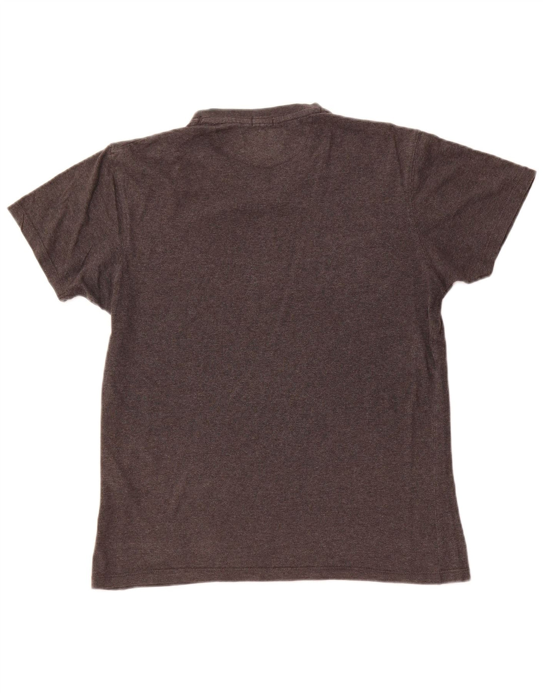 Męski T-shirt z grafiką RUSSELL ATHLETIC Średnioszary, bawełniany