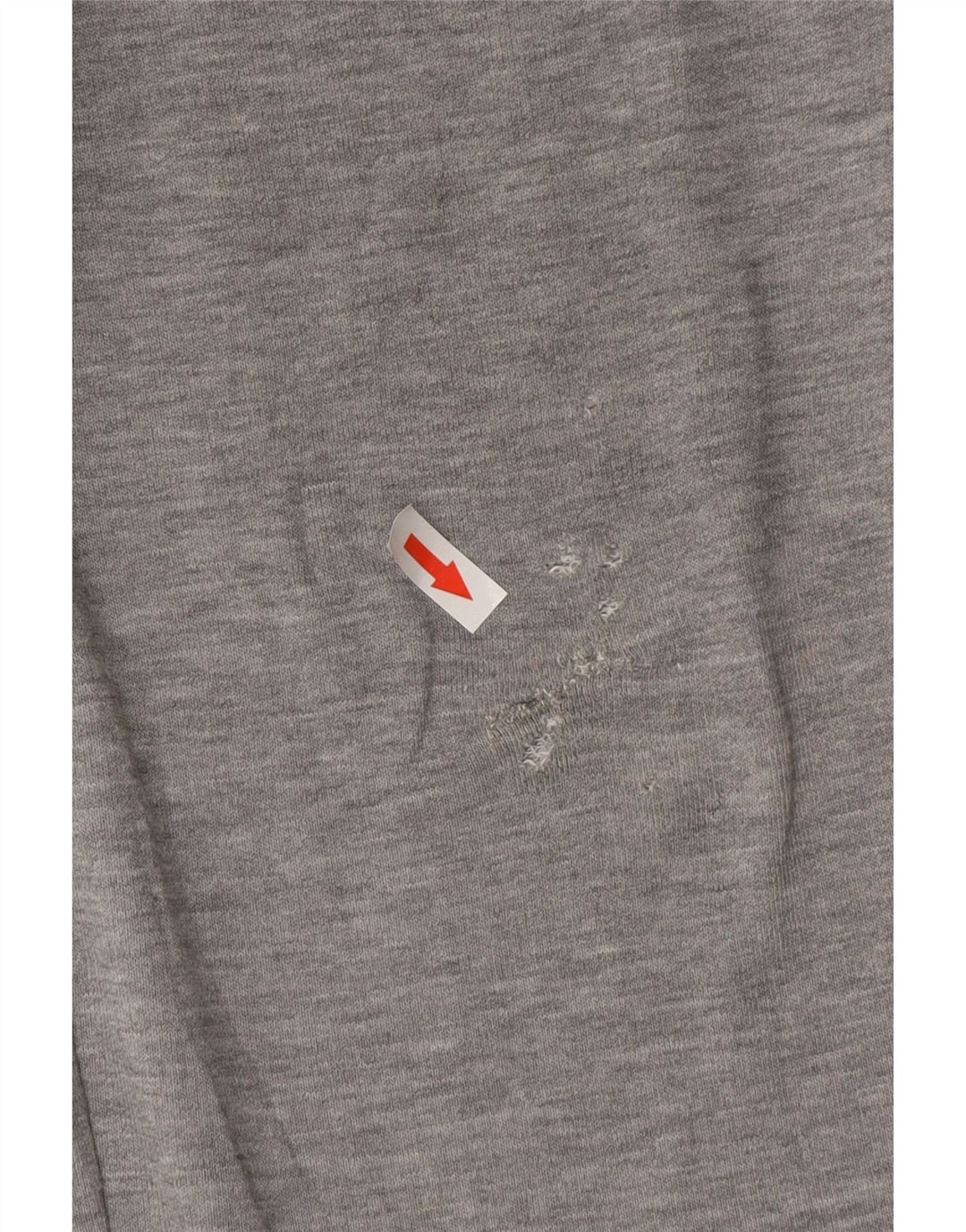 Męskie spodnie dresowe LOTTO, małe, szare