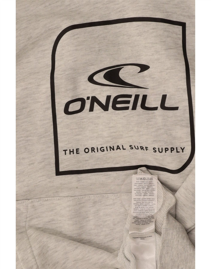 Męski sweter z kapturem O'NEILL, mały, szary, bawełniany