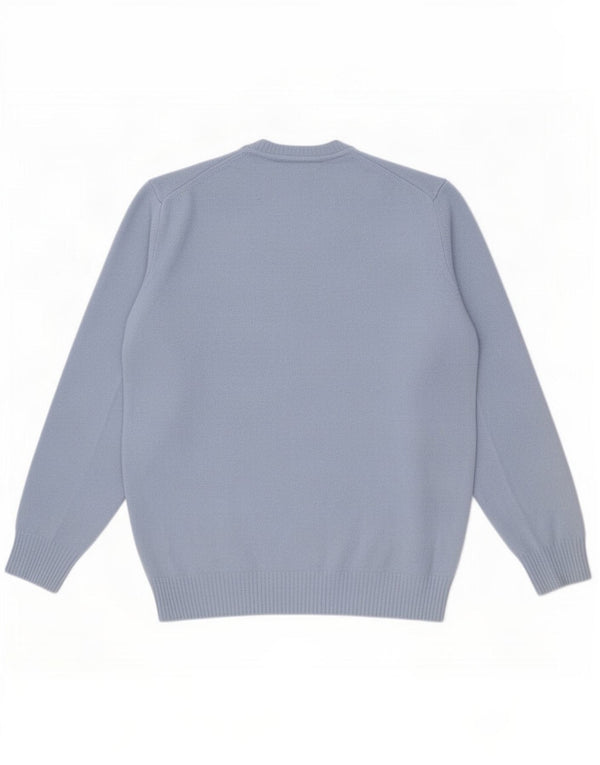 Męski sweter z okrągłym dekoltem Zara, mały, niebieski