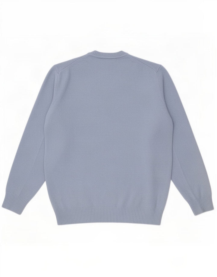 Męski sweter z okrągłym dekoltem Zara, mały, niebieski