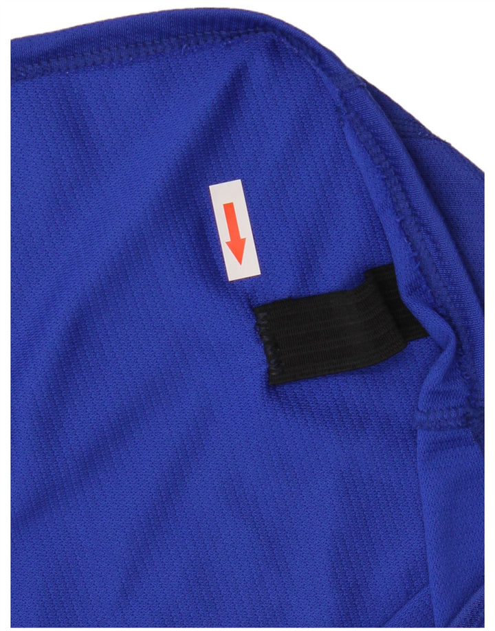 Męska kamizelka z grafiką Asics, duży niebieski poliester z blokami kolorów