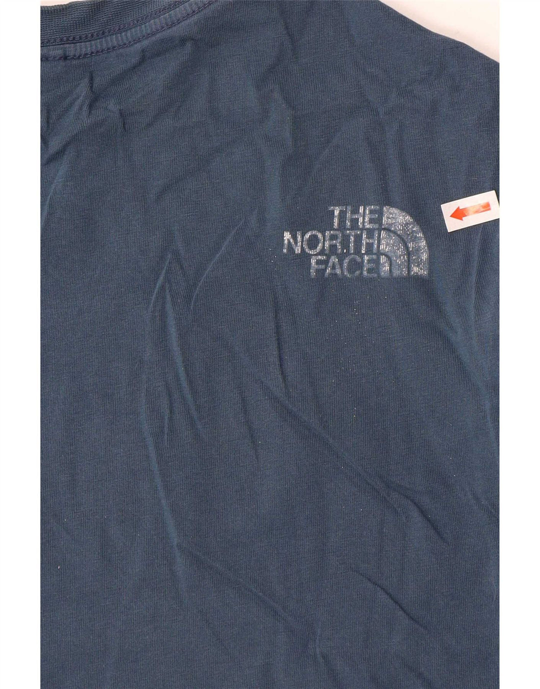 Męska koszulka z grafiką The North Face, bawełniana, w kolorze średniego błękitu
