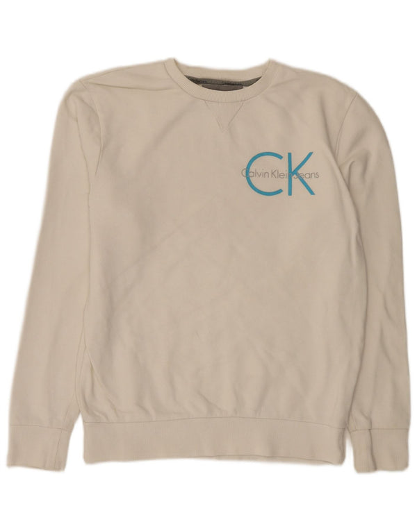 Męska bluza z grafiką Calvin Klein Jeans, mała, biała, bawełniana