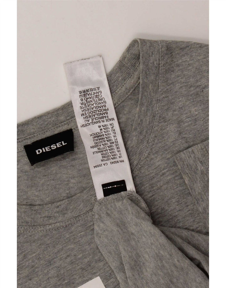 Męski T-shirt Diesel z grafiką, duży, szary, bawełniany