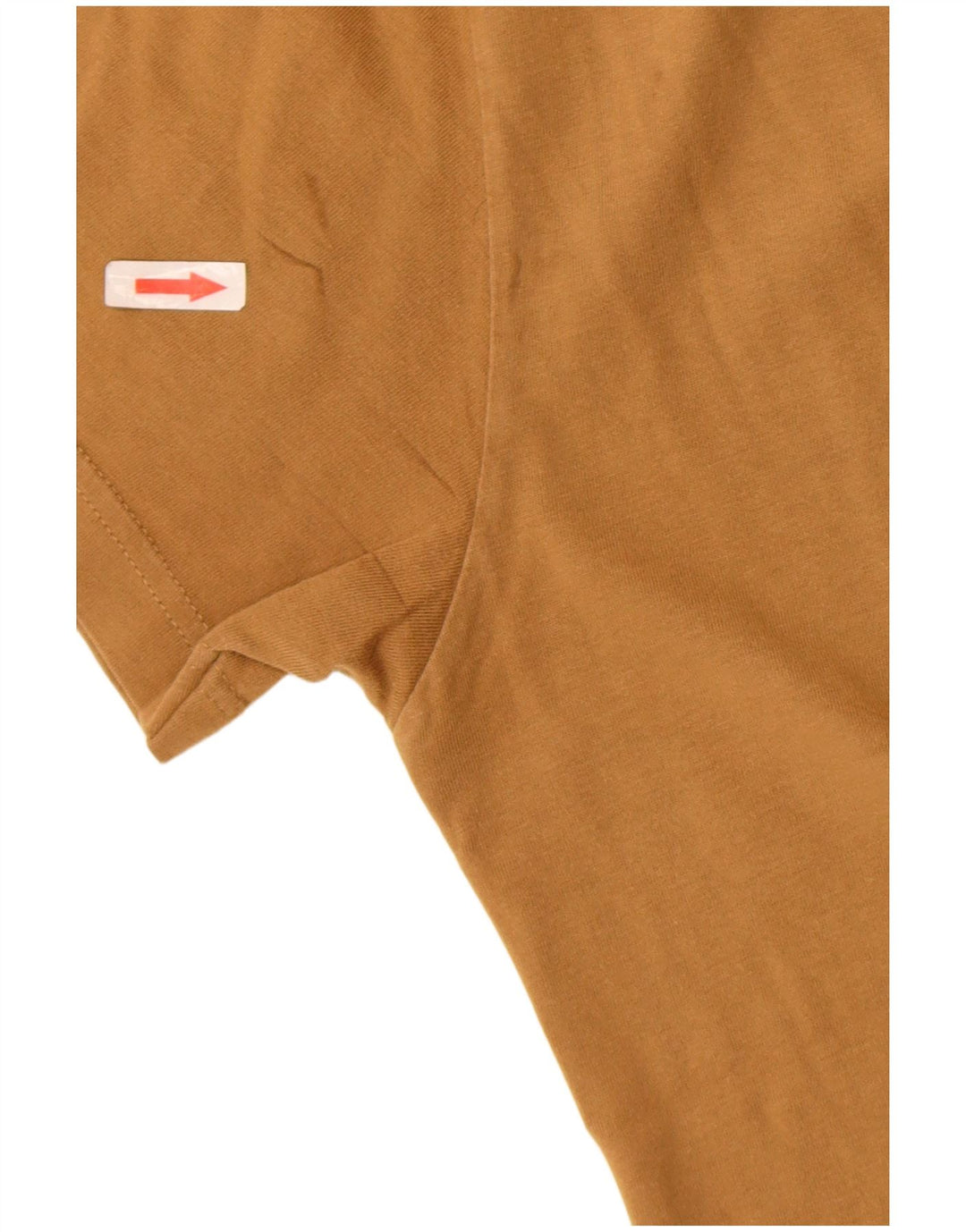 Męski T-shirt Russell Athletic z grafiką, bawełniany kolor khaki