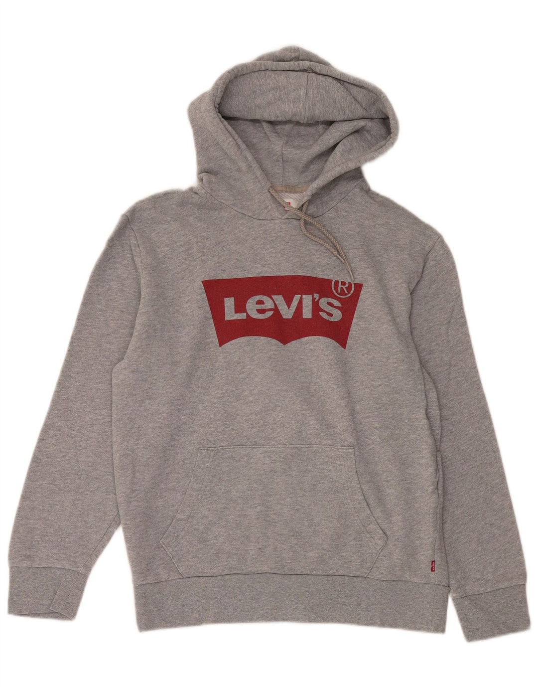 Męski sweter z kapturem i grafiką LEVI'S, średnioszary, bawełniany