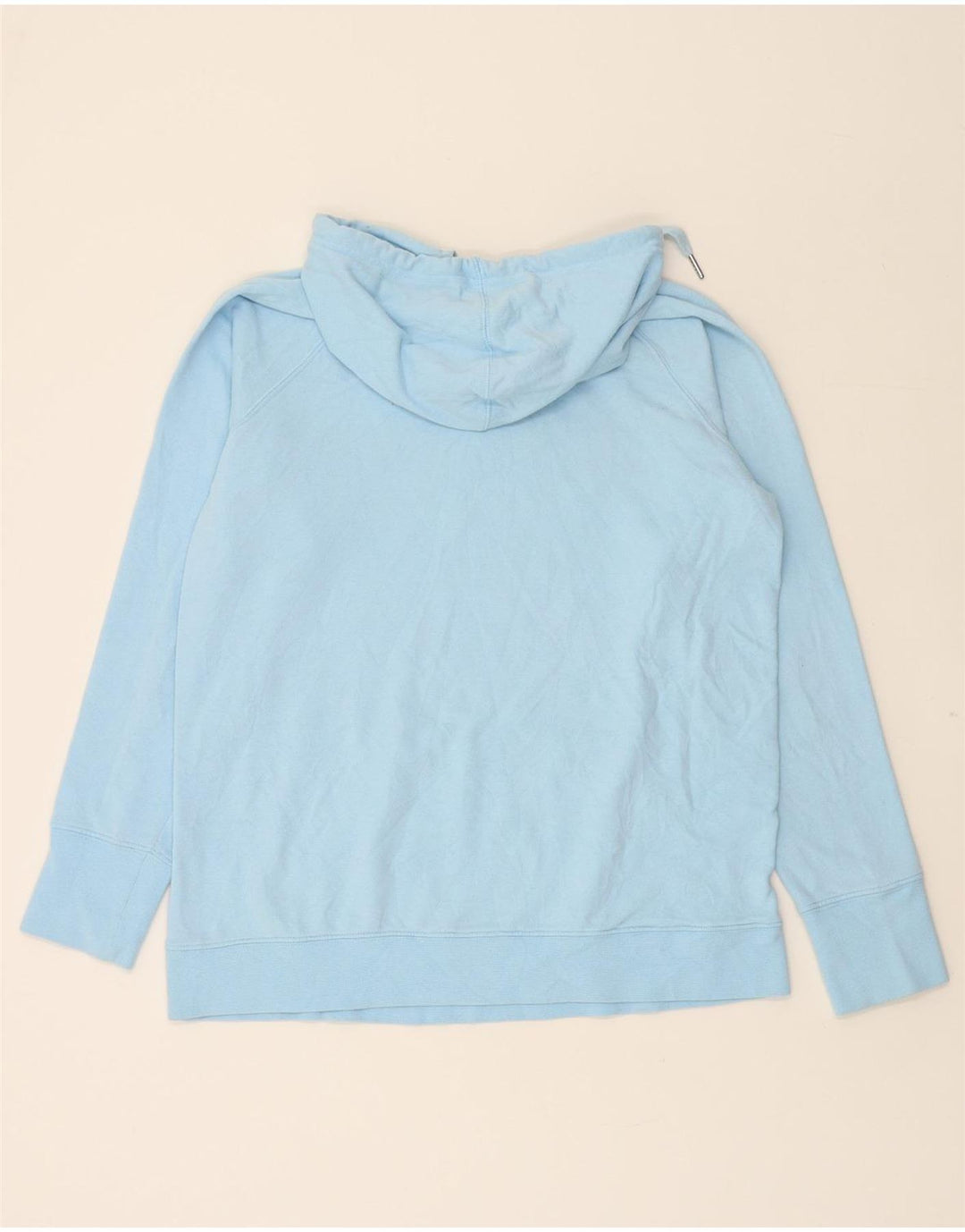 CHAMPION Mens Graphic Hoodie Jumper Medium Blue Cotton Vintage Champion and Second-Hand Champion from Messina Hembry 