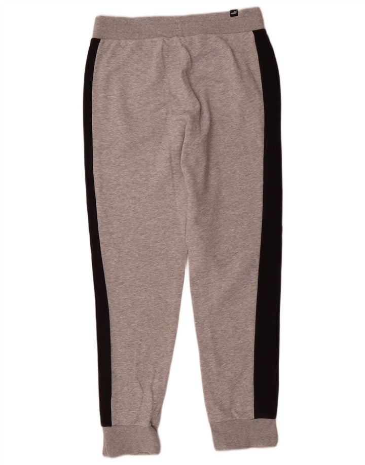 Męskie spodnie dresowe Puma Joggers Small Grey Colorblock