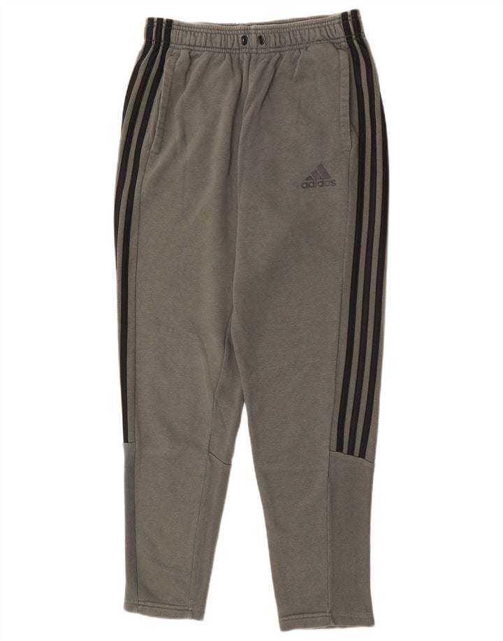 Męskie spodnie dresowe Adidas, średnioszare, bawełniane