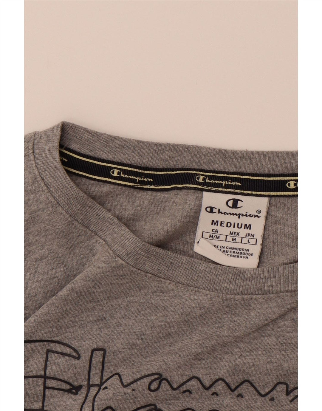 CHAMPION Mens Graphic T-Shirt Top Medium Grey Vintage Champion and Second-Hand Champion from Messina Hembry 