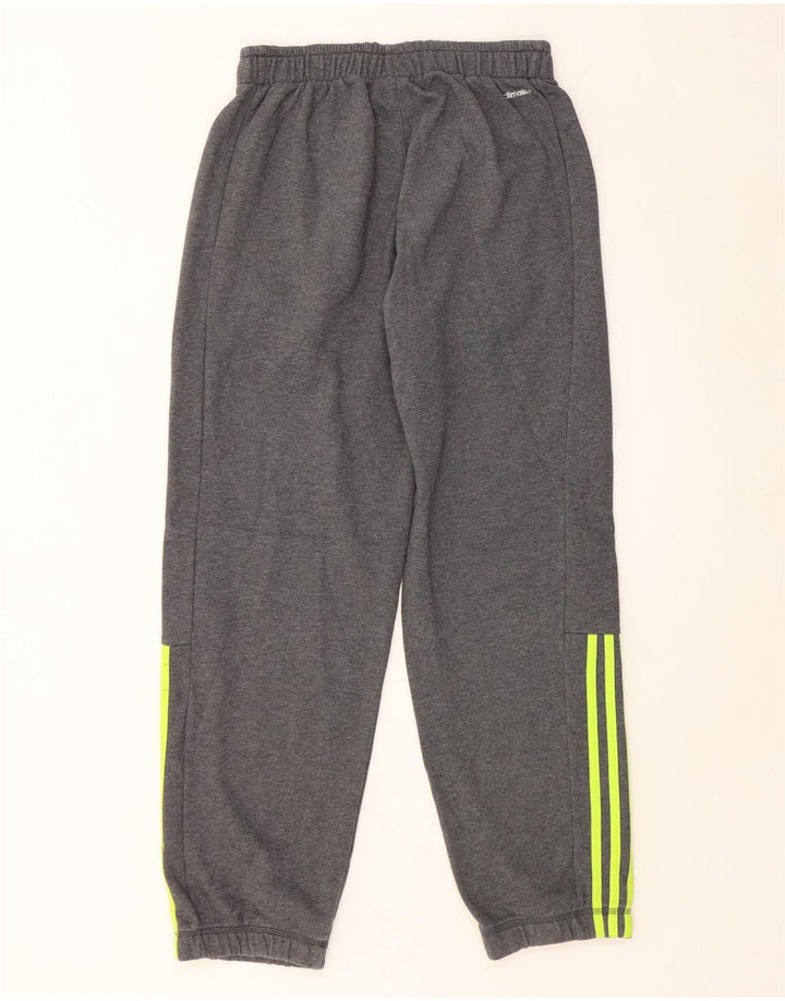Męskie spodnie dresowe ADIDAS Climalite Joggers, średnioszare, bawełniane