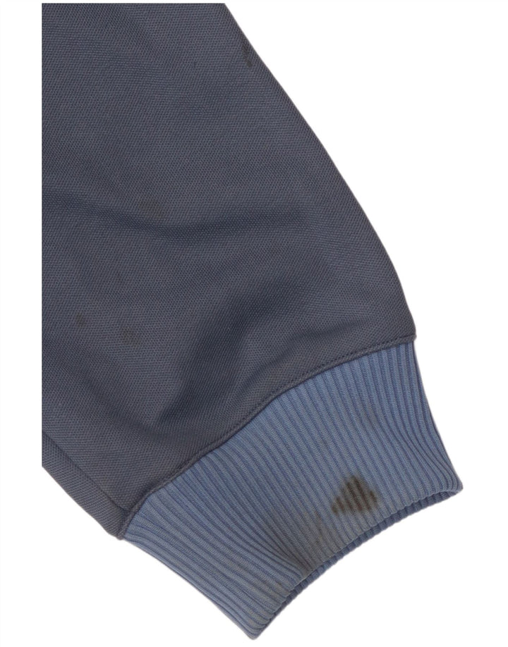 Adidas Męska bluza dresowa, duża, bawełniana w granatowe paski