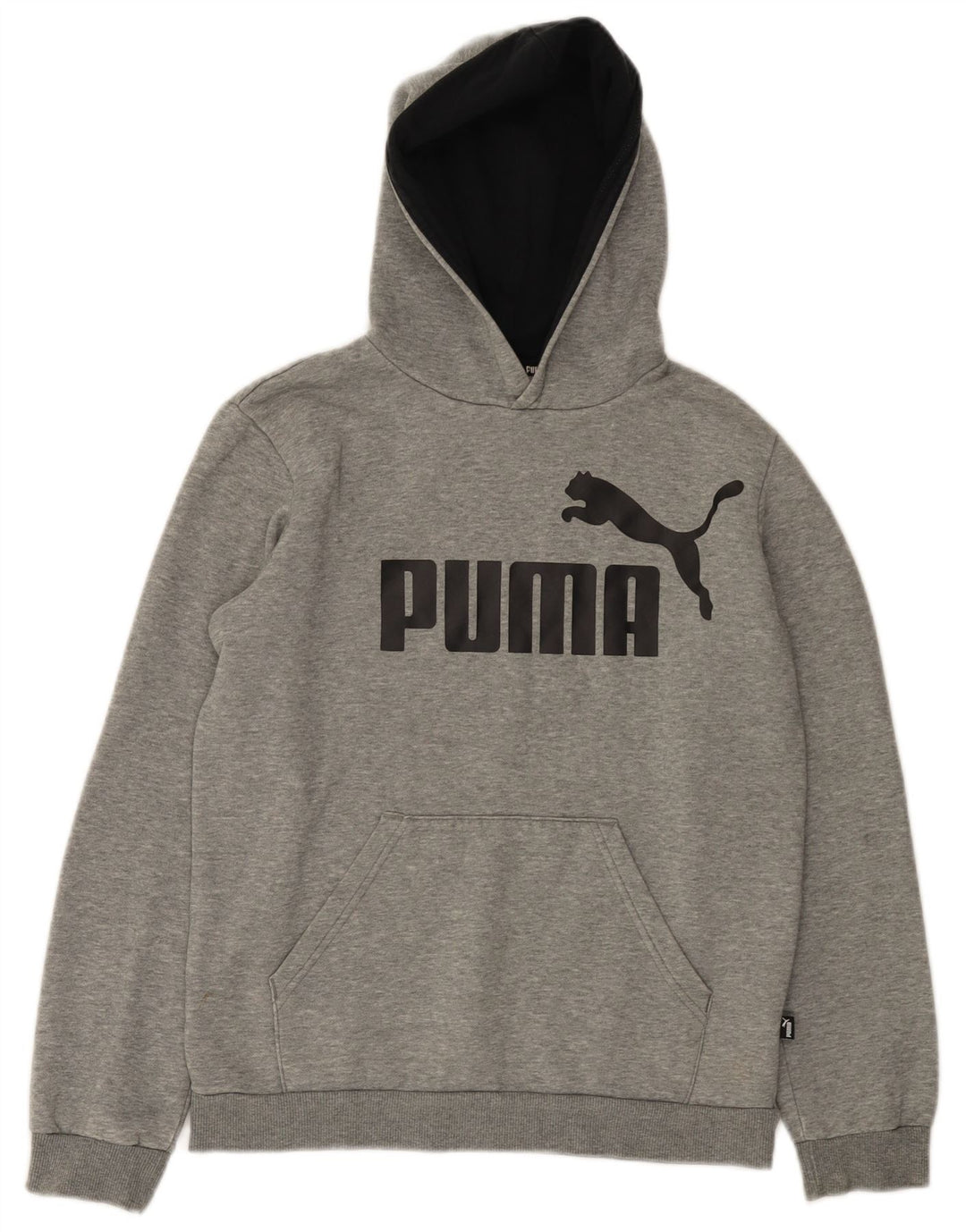 Chłopięcy sweter z kapturem i grafiką PUMA, 13-14 lat, szara bawełna