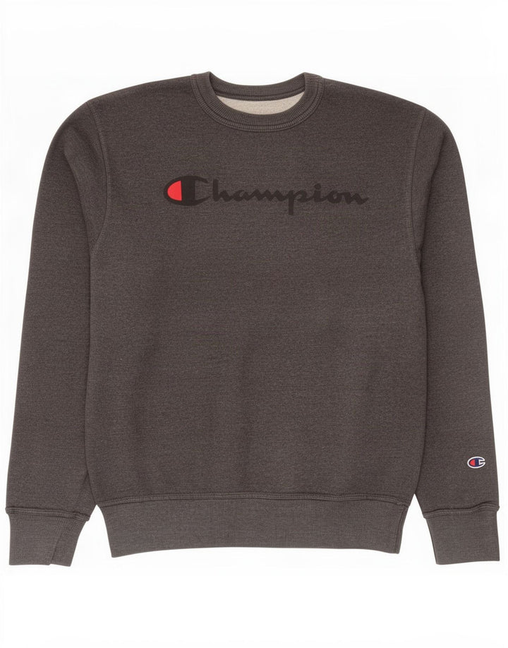 Męski sweter z grafiką Champion, mały, szary, bawełniany
