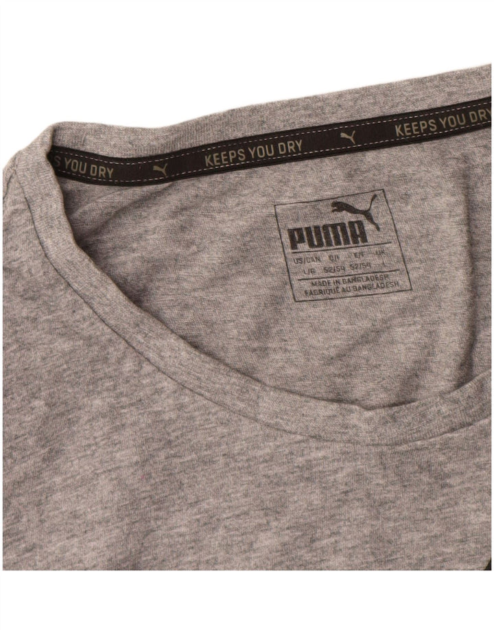 Męska koszulka z grafiką Puma, duża, szara