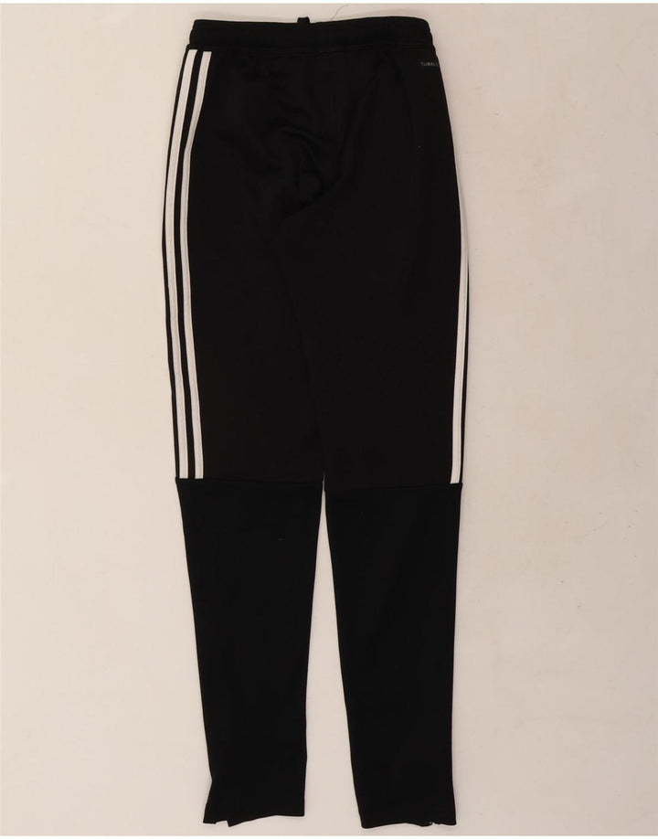 Męskie spodnie dresowe ADIDAS Climalite XS, czarny poliester