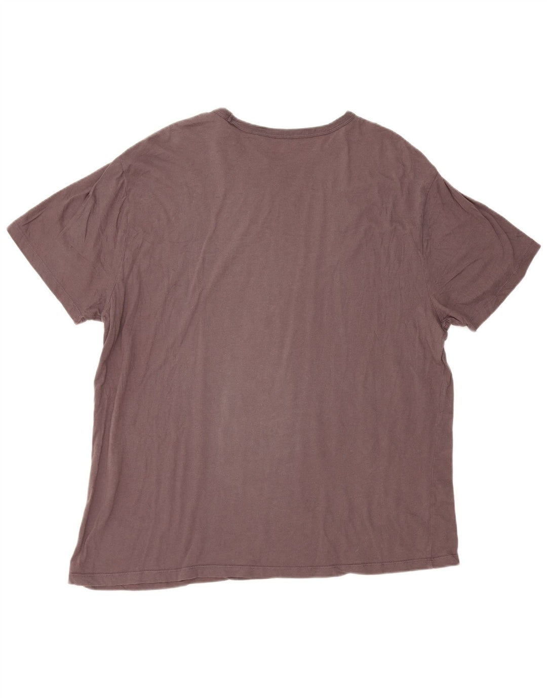 Męska koszulka t-shirt z grafiką Gap, 2XL, brązowa