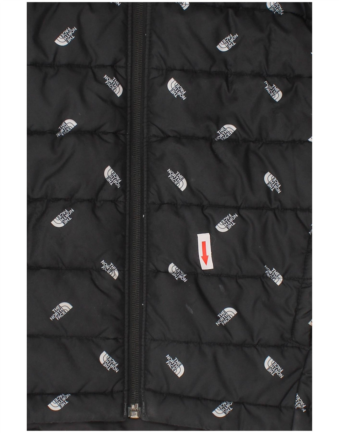 Wyściełana kurtka chłopięca z kapturem The North Face, 9-10 lat, średnia czarna