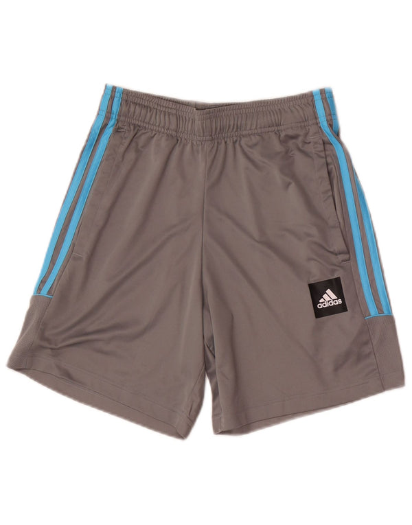 Męskie spodenki sportowe Adidas Graphic Regular, małe, szare sportowe