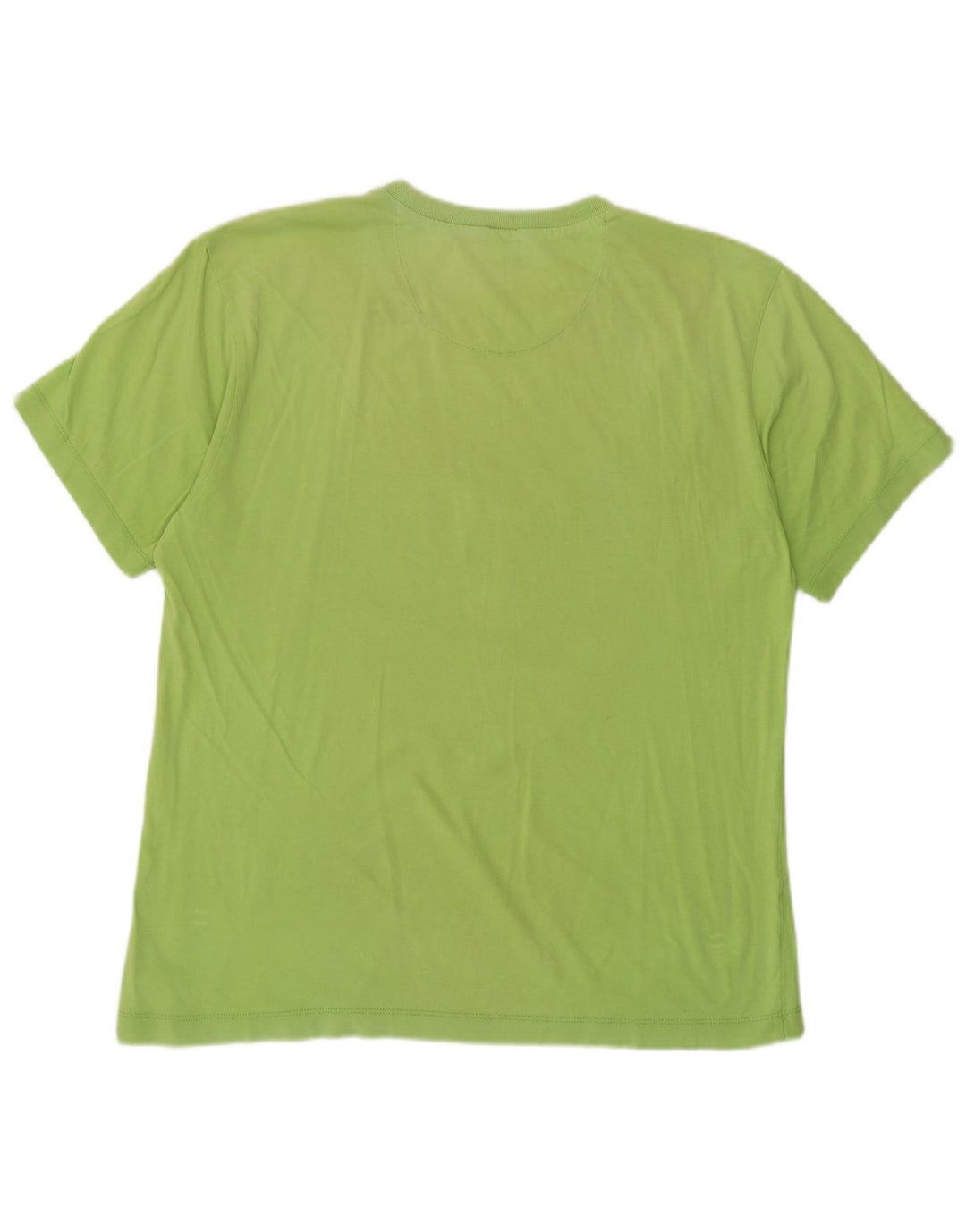 Męski T-shirt Champion z grafiką, średni zielony