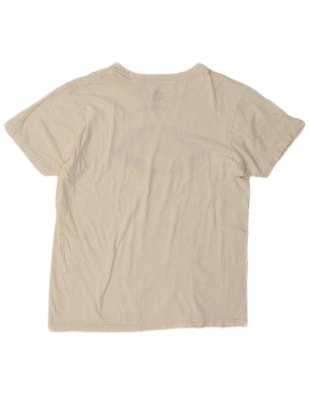 Męski T-shirt z grafiką O'Neill o standardowym kroju, średni, złamanej bieli, bawełniany