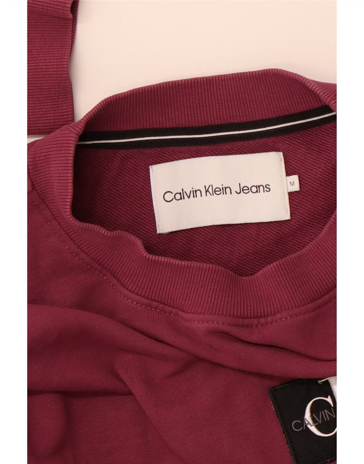 Męski sweter CALVIN KLEIN JEANS z grafiką, kolor średniofioletowy