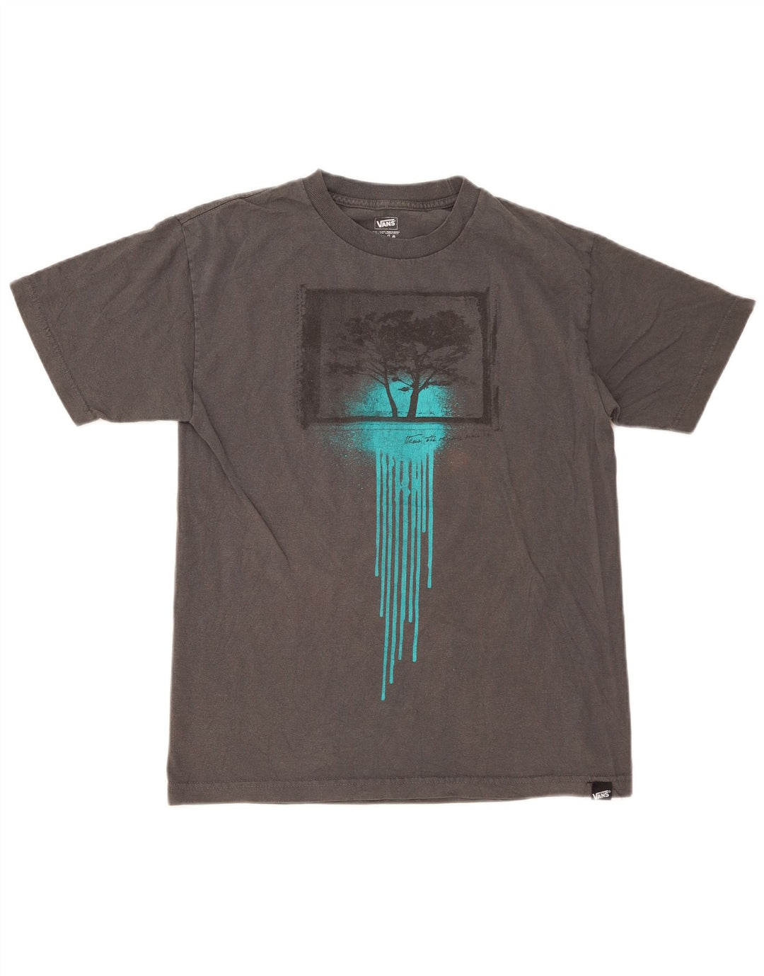Męski T-shirt z grafiką VANS, średnioszary, bawełniany