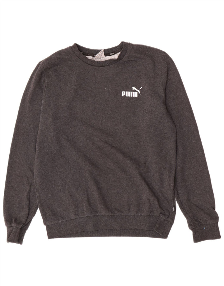 Męska bluza Puma Sweter Średnioszara bawełna