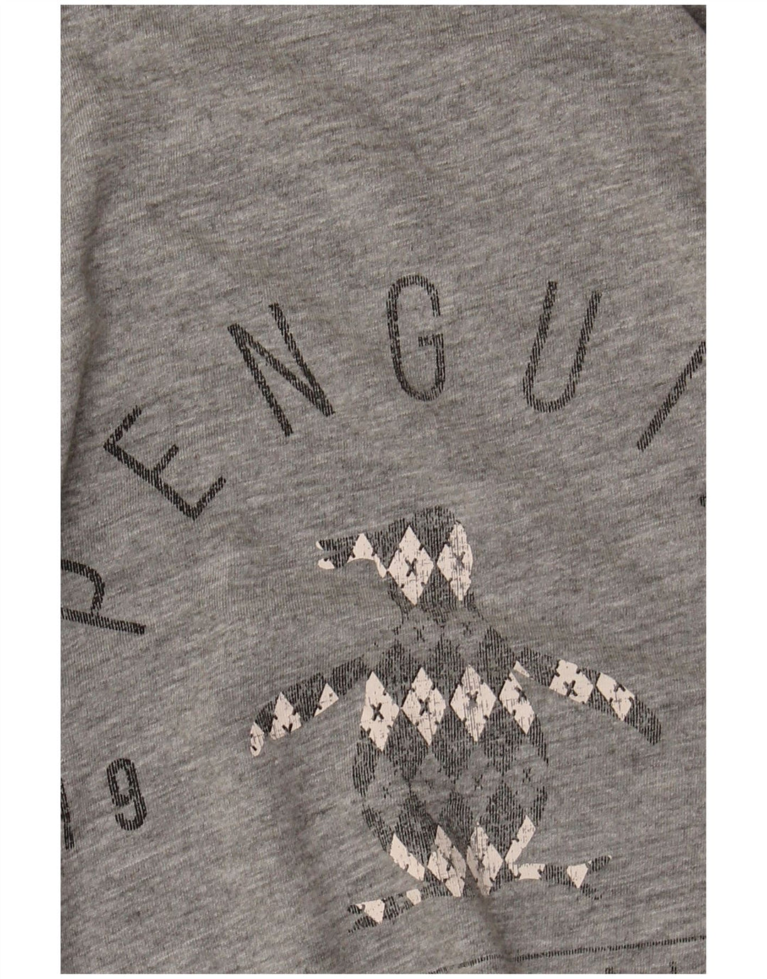 Męski T-shirt z grafiką Pingwin, duży, szary, bawełniany
